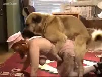Busty cheating wife makes out with a brown dog